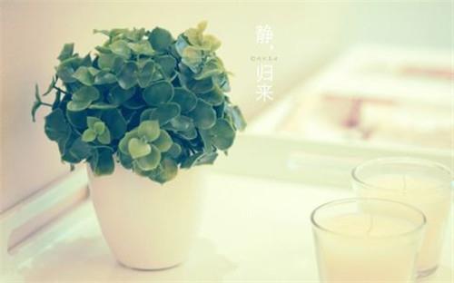 苏珊米勒2016年9月金牛座运势详解完整版1