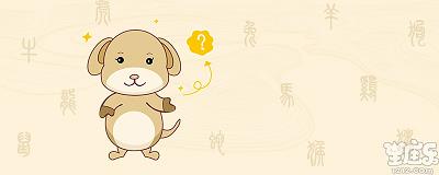 属狗的和什么属相不合