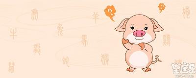 属猪的几月出生最好
