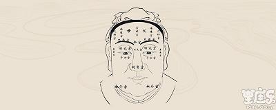 申字脸什么样