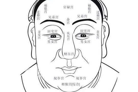 截图00.png