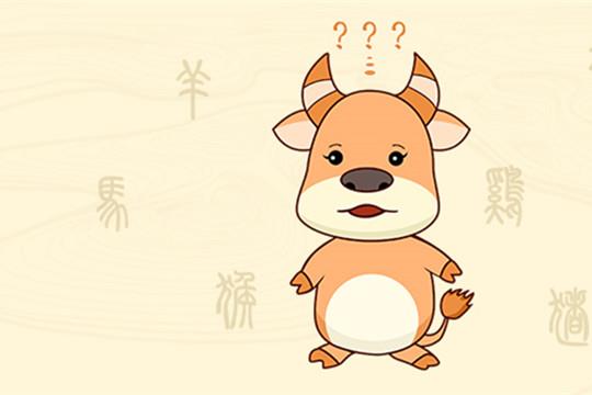 2-牛_副本.jpg