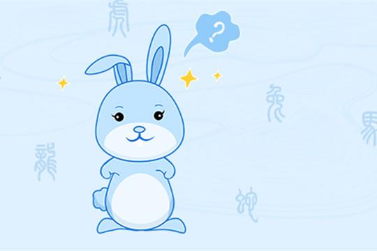 4-兔子_副本.jpg