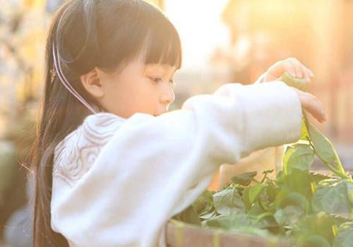 2022虎年女宝 姓严叫什么名字聪明有灵气