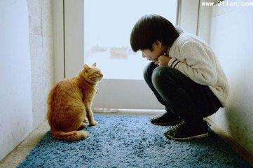 程斌