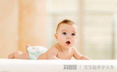 属猪的男孩起名 属猪的男孩起名
