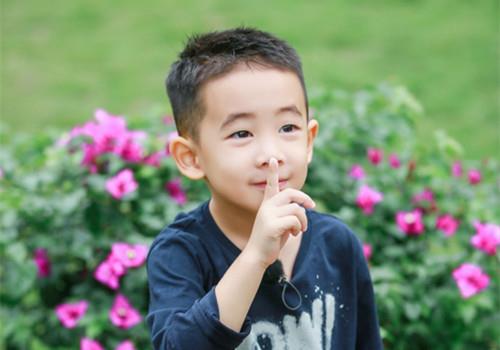 春天出生的鲁姓宝宝取什么名字好听