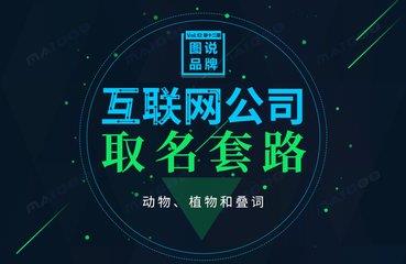 网络公司起名