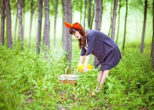 龙年五行缺土缺木女生怎么取名温柔干净,龙年五行缺土缺木女生怎么取名温柔干净