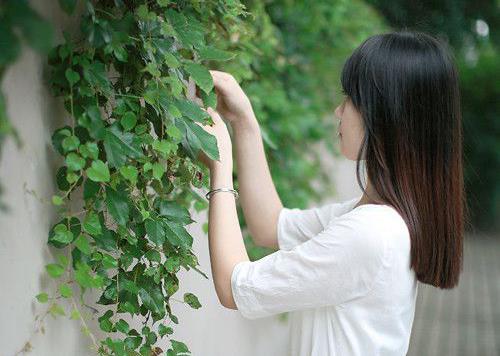 带薇字三个字女孩名 聪明有前程女孩名-测姓名打分