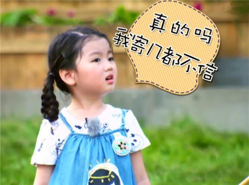 倪姓取名带何字 清冷孤傲的名字-姓名八字测试