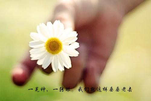 姓郭莞什么二字新生儿名字 书香气息的字-八字起名打分