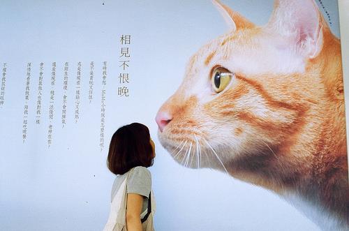 姓许湘什么二字宝宝名字 大气儒雅的书香名字