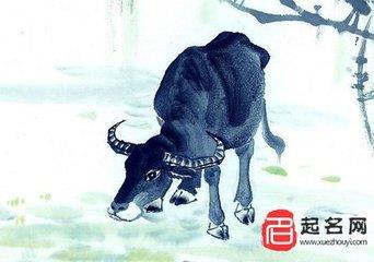 姓张男孩起名,姓张男孩起名字