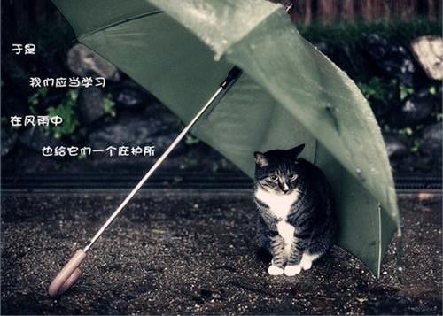 姚姓虎年男宝宝叫什么名字极少又好听