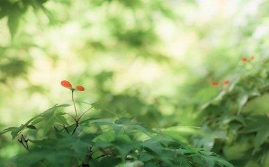 郝姓起名