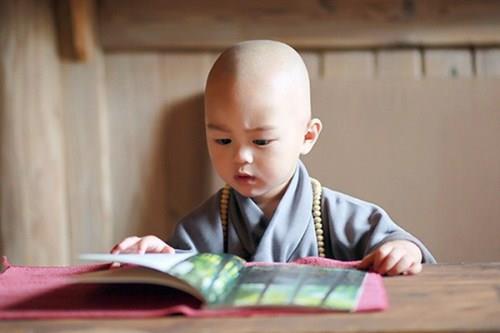 虎年男孩取什么名字智慧有内涵且低调,虎年男孩取什么名字智慧有内涵且低调