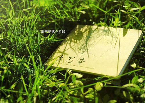 免费自动取名100分 超级惊艳的女孩名字