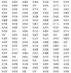 张姓起名