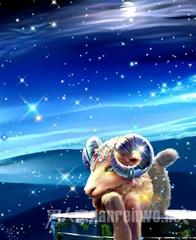 白羊座与什么星座最配