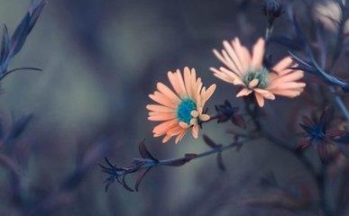 水瓶座怎么追