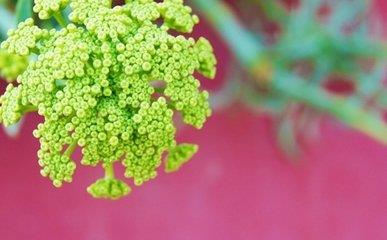 吕姓起名