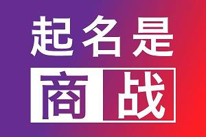 在线公司起名