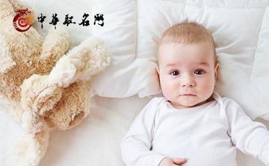 猪宝宝起名