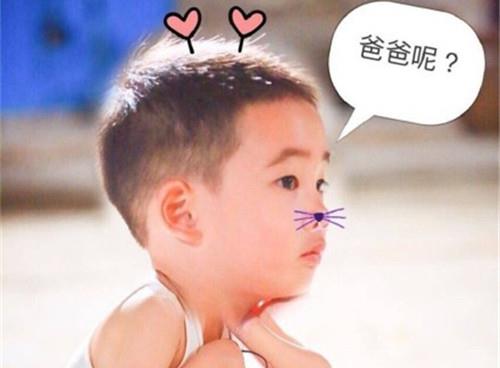 郑姓取名带暄字 有书香文艺气息的名字-这个名字解释