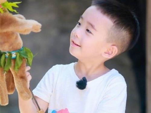冬至出生五行缺木的男生名字最新大全独特